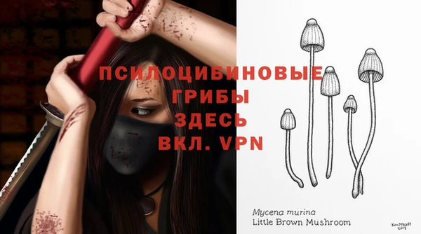 гидра Абдулино