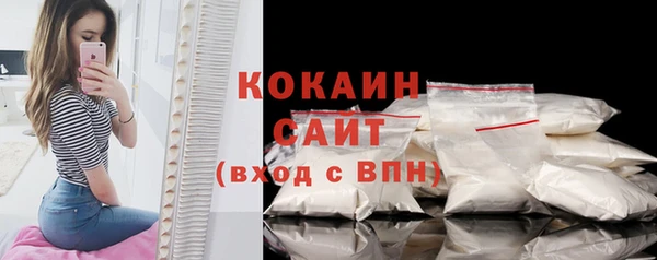 индика Абинск