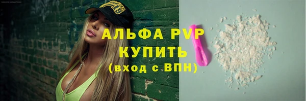 индика Абинск