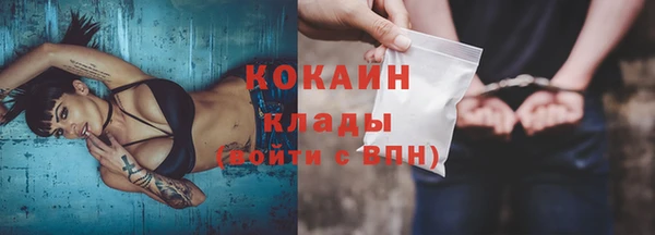 индика Абинск