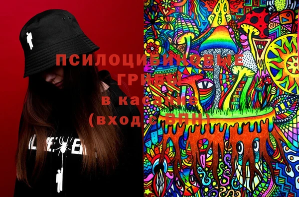 индика Абинск