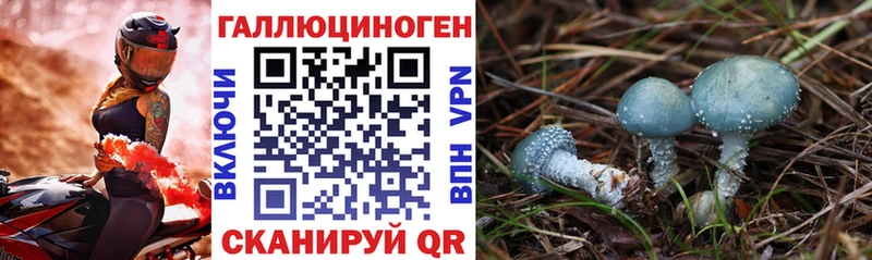 Псилоцибиновые грибы MAGIC MUSHROOMS Ковдор
